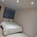 네모강아지 이미지