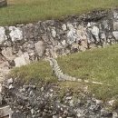 칸쿤 여행기 이미지