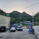 울릉산림직거래 영농조합법인