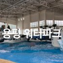 노천초등학교 | 용평워터파크 피크아일랜드 이용후기 할인, 준비물, 락커, 키즈풀까지 초등아이랑 가볼만한 워터파크