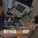 동심동물병원 | [동탄동물병원] 유기견 출신 난이의 7살 정밀 검진, 동탄동물심장병원 (동동심) 플래티넘 패키지...