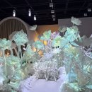 [전남, 나주 전시관] 우주드림 / 미디어아트 방문후기