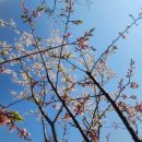 선경레이카운티부동산공인중개사사무소 이미지