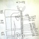 하단전에 대해서... (구미호 꼬리의 중요성) 이미지