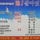 [어살아있네횟집] 속초 외옹치항 롯데리조트주변횟집 회 끝내줘요!