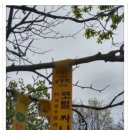 성사초등학교 이미지