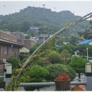 쉼 호스텔 이미지