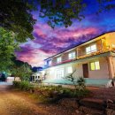 하방소 포레스트 이미지