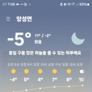 크로커스랑 겹튤립 받으실분요~~ 이미지