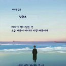 소금한조각 Daum카페