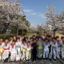 미라클태권도장 이미지