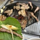 송림생오리숯불 네이버블로그