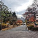 ♡ 11월 29일(일) 서울 서대문형무소역사관,안산 단풍나무길 걷기 사진~ 이미지