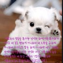 다울에듀 이미지