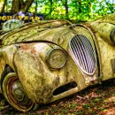 덕창모터스 이미지