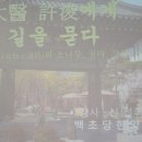 백초당한의원 Daum카페