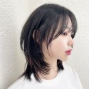 카플레이스 네이버블로그
