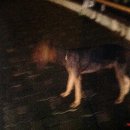 해피하이킹 이미지