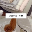 여름이불 발품 끝에 찾은 K메이슨 내돈내산 후기