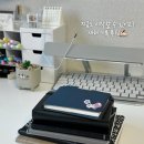 알기 쉬운 생활풍수 | 올해 사용 중인 다이어리 공개 ✨ 기록 생활 솔직 후기 (추천 이유 / 장단점 / 만족도)