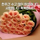 샬롬 Daum카페