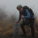 동울산교회 앞 이미지