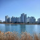 녹색교육정원 티스토리