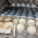 하얀수입품 이미지