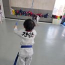 청솔태권도 이미지