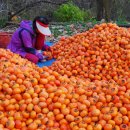 청도감마을 이미지