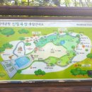 용산고등학교 이미지