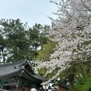 어반플랜트 수영 이미지