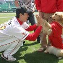 데일리도그 이미지