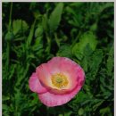 하늘아래 펜션 이미지