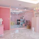 순수하개 이미지