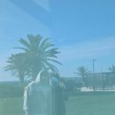 해안로2-L | [제주여행]3대가 함께한 가족여행 l 2박 3일 코스 추천| 센스있는 준비물 추천🌴