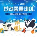 펫츠데이