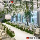 [대구 웨딩홀 견적공유] 생화 향 가득했던 밝은 홀_엘파소하우스 (26년 상반기 견적공유)