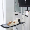 UN동물의료센터 이미지