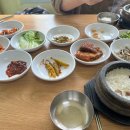 고목나무집 이미지