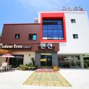 로뎀트리 이미지