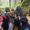 반동초등학교(병설유치원) 이미지