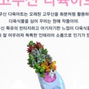 천년목 다육농장