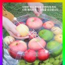 세정세탁 | 휴대용 접이식 여행용 세탁 세면대 물통 세탁가방 발세정 용기 선택 후기