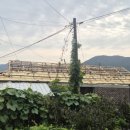 칼라강판 지붕공사 | [지붕개량 프로젝트] 오래된 집의 새로운 변신, 칼라강판 지붕 공사 후기!(충주 지붕공사)