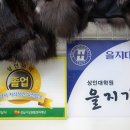 진열옷수선