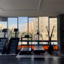 쿠마복싱짐 이미지