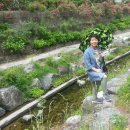 죽전지천 이미지