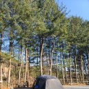 강림초 월현분교장 이미지