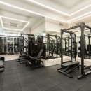 윌 피티 짐 이미지